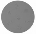 /products/moldes-para-carimbos-m4/